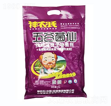 �����x΢�������-��Ⱦ���-���r(n��ng)��