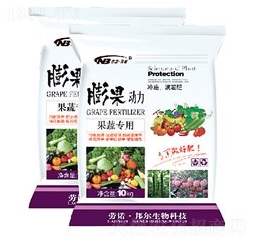 ���ߌ���-�������-������