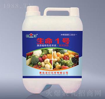 ����1̖(h��o)-����-����