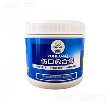 �������ϸ�-��᷾G��