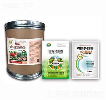 ����������-��(zh��n)܇