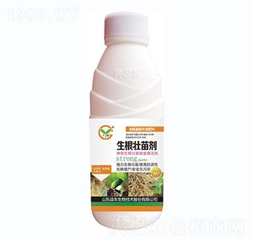 �������焩-��(zh��n)܇