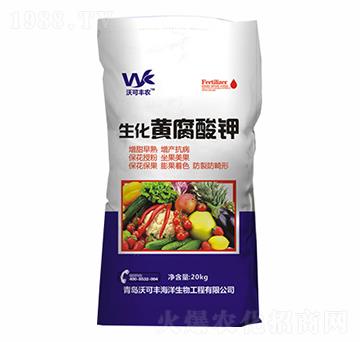 �����S�����-�ֿ��S