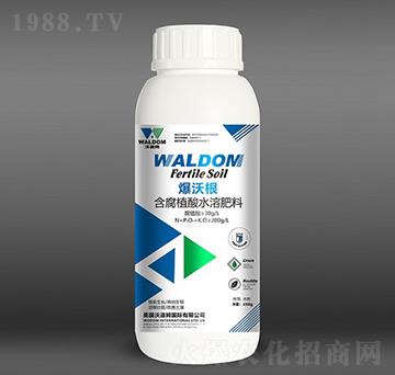 ���ָ�-�ֵ�ķ