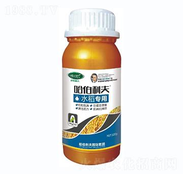 ˮ������-��������