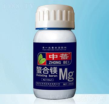 �����V-����-�����S