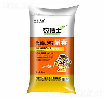 �۸�����\����-�r��ʿ-����S����