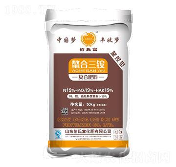 �������@�ͺϷ���19-19-19-���ϸ�