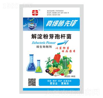 �����ѿ�ߗU��-�漚�����h-�S������