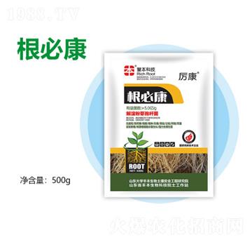 ���ؿ�-�S������