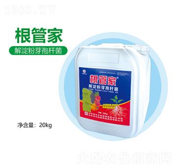 �����ѿ�ߗU��-���ܼ�-�S������