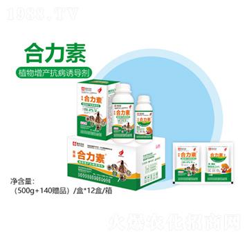 ֲ�����a(ch��n)�����T��(d��o)��-������-�S������