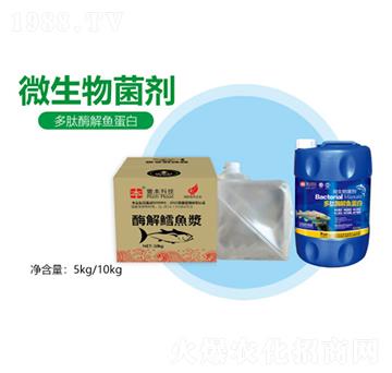 ����ø���~����-�S������