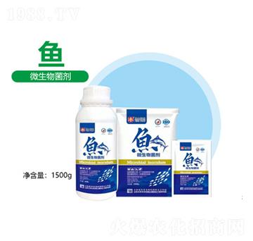 �~΢�������-�S������