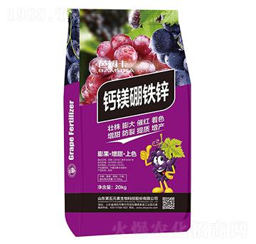 �}�V���F�\-��ķ��-����Ԫ��