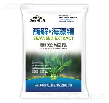 ø�⡤���徫-ʥ���f(w��n)��-����Ԫ��