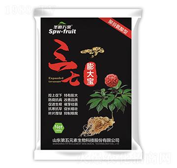 �������-ʥ���f(w��n)��-����Ԫ��