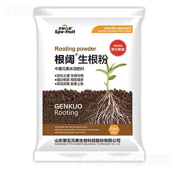 ���������-ʥ���f(w��n)��-����Ԫ��