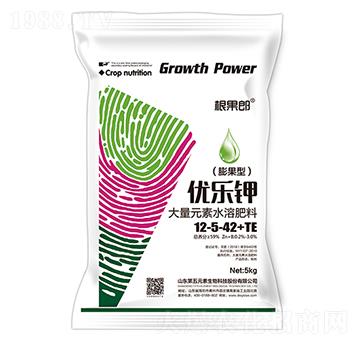 ��(y��u)��(l��)⛴���Ԫ��ˮ�ܷ���12-5-42+TE-������-����Ԫ��