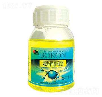 �Ǵ���-���S���r(n��ng)-���S����