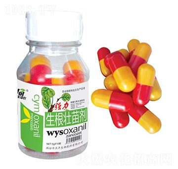 ��(qi��ng)���������焩-���S���r(n��ng)-���S����