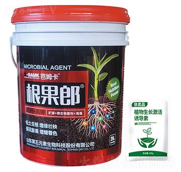 ������-��ķ��-����Ԫ��