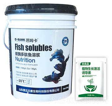 ̼ø�����~(y��)�ܝ{-��ķ��-����Ԫ��