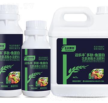 �V�V�Ͷ��ġ��~����-�~��(l��)�S-Ӣ���ֲ���