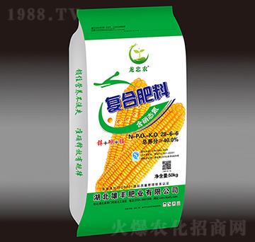 �ͺϷ���28-6-6-�����r-���S�ʘI(y��)