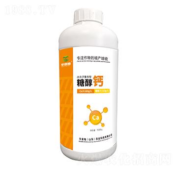 �Ǵ��}-�뮀��