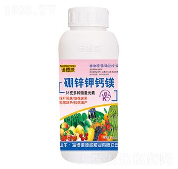 500g���\��}�V-�Z����