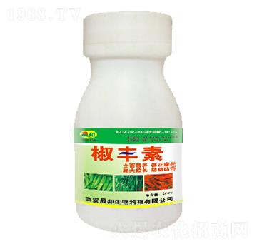 ���S��-�ɰ�����