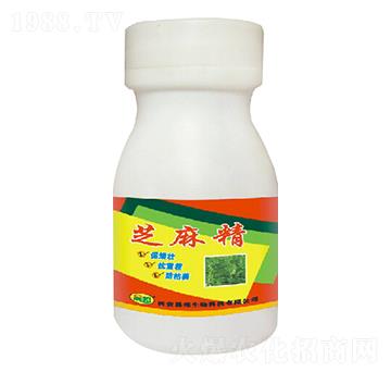 ֥�龫-�ɰ�����