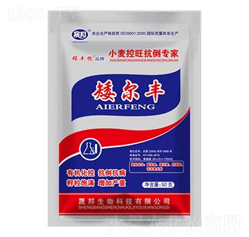 �����SС��������������-�ɰ�����