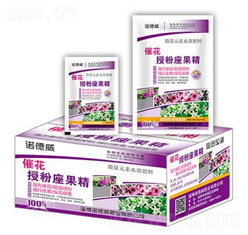 �߻��ڷ����������У�-�Z����