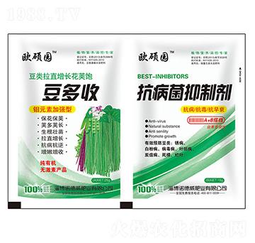 ������+���������Ƅ�-�Z����