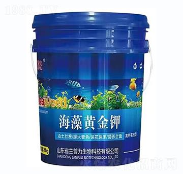 ��⛸��}��-�����S���-�m����