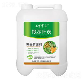 ΢�������-�����~ï-���_