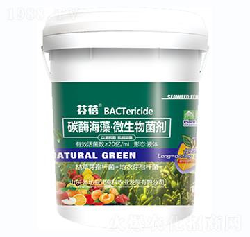 ̼ø���塤΢�������-����-ʢ���߿�