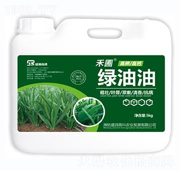 �G����-ʢ���߿�