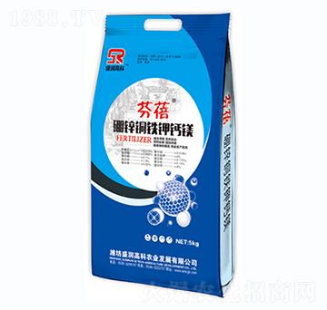 ���\�~�F��}�V-����-ʢ���߿�