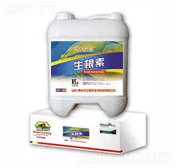 ������-����-�|�Ҙ�(l��)