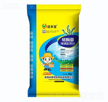 ̼ø����������-�~�S��-������