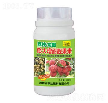 荔枝龍眼膨大增甜靚果樹-百事達