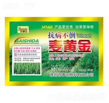 抗病不倒麥黃金-百事達