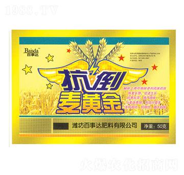 抗倒麥黃金-百事達