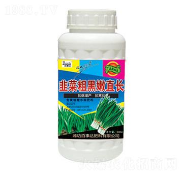 韭菜粗黑嫩直長-百事達