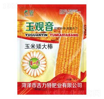 玉米矮大棒-玉觀音-吉力特肥業(yè)