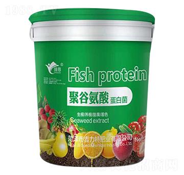 聚谷氨酸蛋白菌-吉力特肥業(yè)