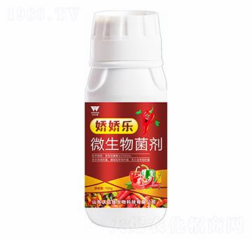 100g΢�������-�ɋɘ�-�֠���(y��u)